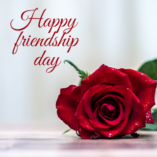 FRIENDSHIP DAY