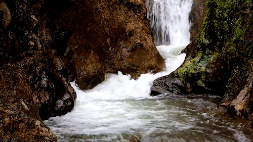 Refrescâncias