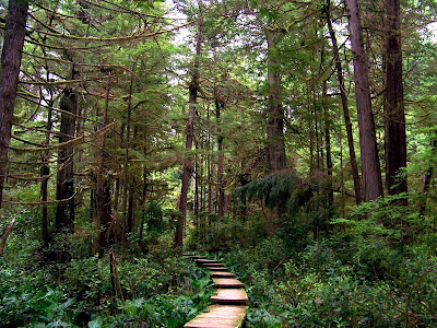 Olympic National Park Washington United States