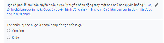 Báo cáo vi phạm bản quyền nội dung  với Google cho web/blog đã đăng ký DMCA