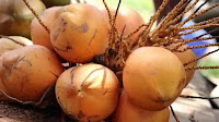 fruit around the world, strange fruit, strange fruit around the world, crazy fruit, crazy fruit around the world, KING COCONUT