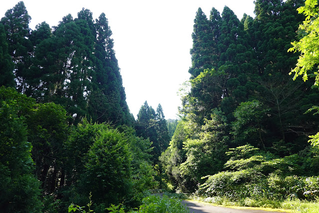 鳥取県西伯郡南部町東上 鎌倉山グリーンライン