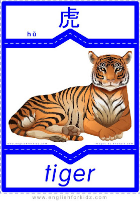 Tiger - English-Chinese flashcards to learn names of wild animals
