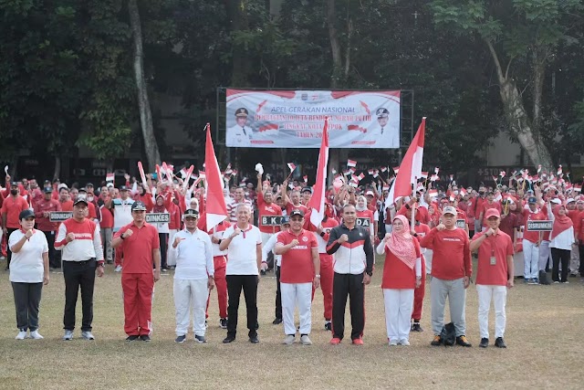 Depok Berhsil Kumpulkan 24.109 Bendera Merah Putih