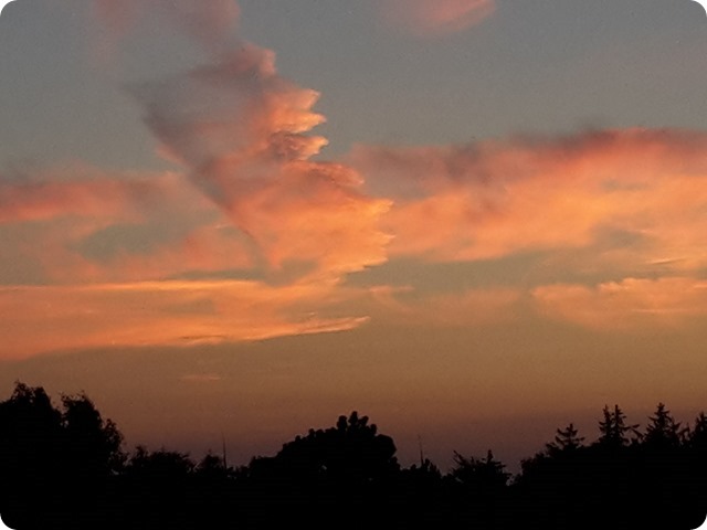 20170829_055828