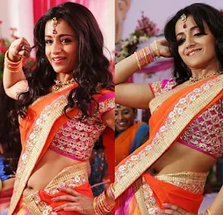 Trisha Naval photos in Saree