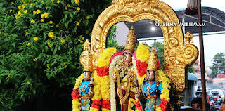 Sri Theliya Singar,Avani, Swathi ,Parthasarathy Perumal Temple,Purappadu,2016, Video, Divya Prabhandam,Sri Parthasarathy Perumal, Triplicane,Thiruvallikeni,Utsavam,