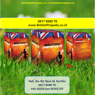 Agen-British-Propolis-Manfaat-British-Propolis-Khasiat-British-Propolis-0817-8080-70