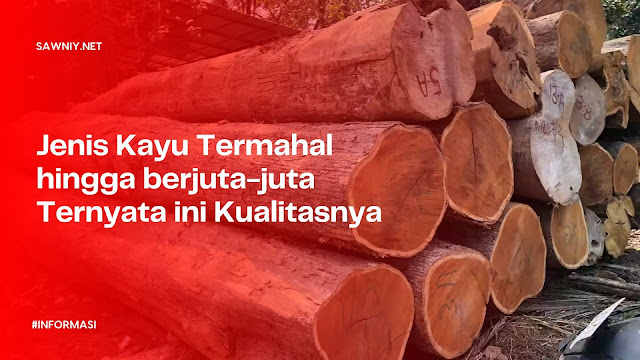 Jenis Kayu Termahal