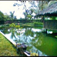 View album