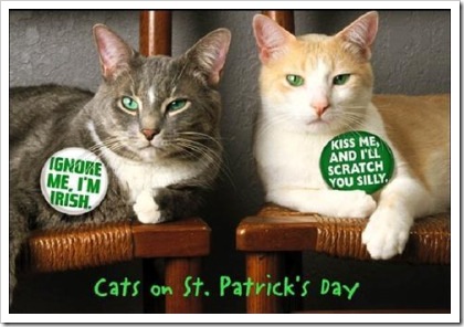 catsonstpatricksday