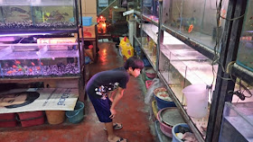 タイのローカル色の濃いペットショップ【熱帯魚の餌、ハムスター、文鳥の餌】