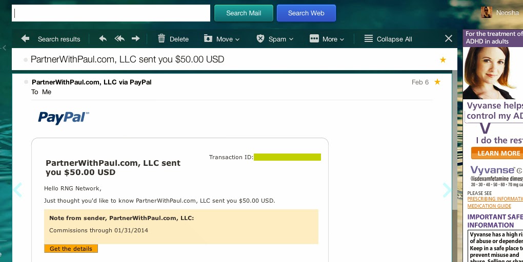 leverage partner with paul income review