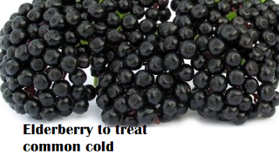 Elderberry to treat common cold and sore throat