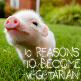 10 Reasons to Become Vegetarian