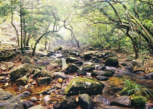 The better side of Hong Kong: Top 10 nature reserves