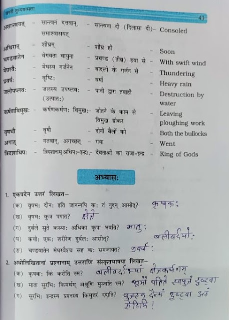NCERT / CBSE Sanskrit Class 10 SHEMUSHI PART 2 Chapter 5 Janni Tulyavatsala Hindi Translation And Question Answer Solution एनसीईआरटी कक्षा 10 संस्कृत शेमुषी भाग 2 पाठ 5 जननी तुल्यवत्सला हिंदी अनुवाद और अभ्यास कार्य