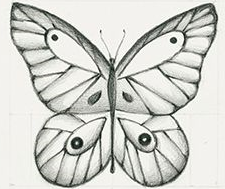 ¿Como Dibujar Una Mariposa a Lapiz en solo 3 Pasos?