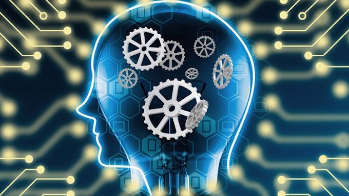 Clustering & Classification With Machine Learning in Python [100% Off]
