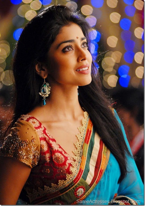 Shriya Saran Cute Saree Photos 2