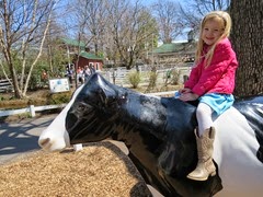 IMG_5624