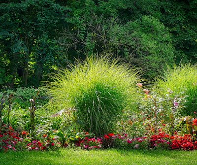 باغ ، حضرت شعیب علیہ السلام , Garden , Moral Stories