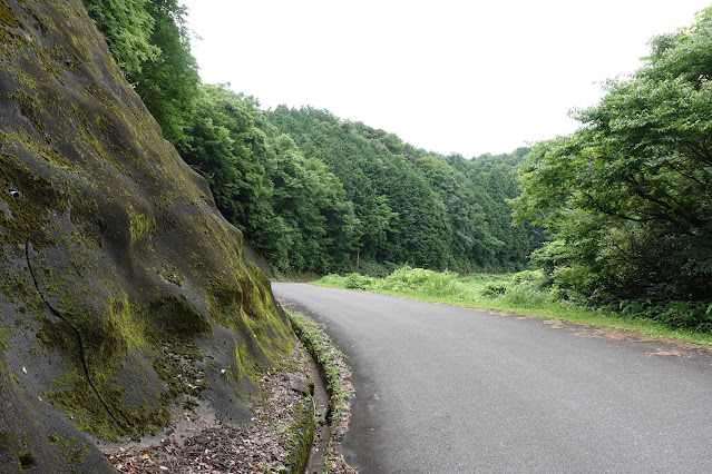 こもれび広場に向かいます