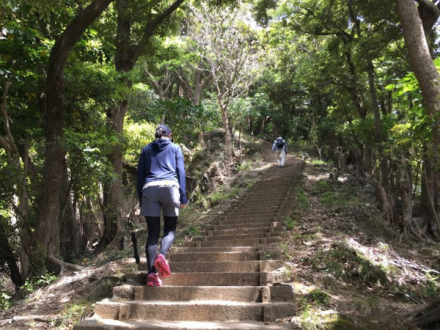 鋸山の登山道