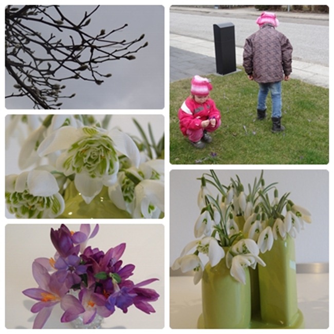 Collage_forår