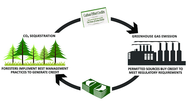 Carbon Credit