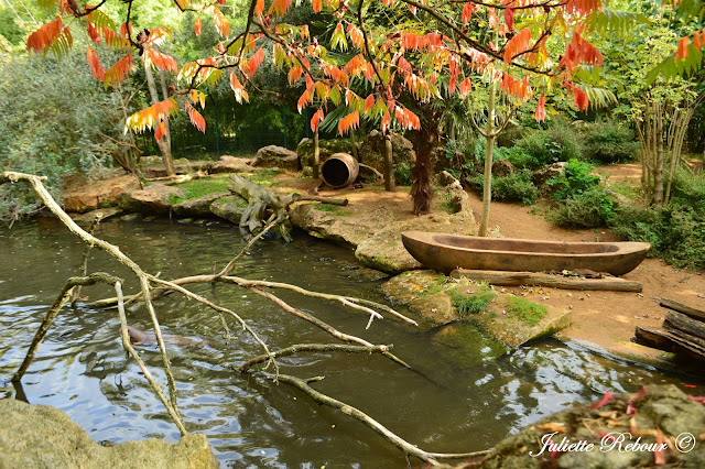 Bioparc Doué-la-Fontaine