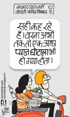 onion price, common man cartoon, Kapil Sibbal Cartoon, Kapil Sibal Cartoon, corruption cartoon, corruption in india