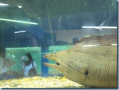 DSC00636
