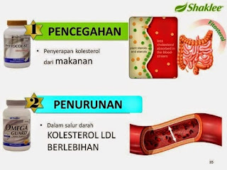 Produk untuk turunkan kolesterol