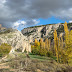 COLORES DE OTOÑO EN NERPIO