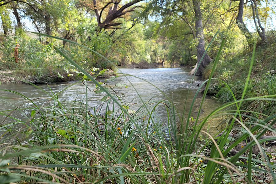 Castroville Park