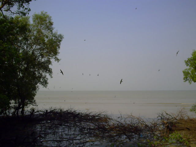 Pemandangan dari Taman Monyet Pasir Panjang laut