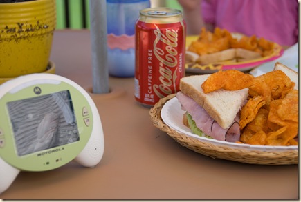 edited picnic 005