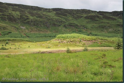 29-habitat