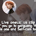 مترجم للعربيّة من سلسلة LIVE ONEUS بعنوان : عندما تذهبون إلى قانقنونق تجدون ونأس وكاميرا شخصية 