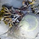 View album