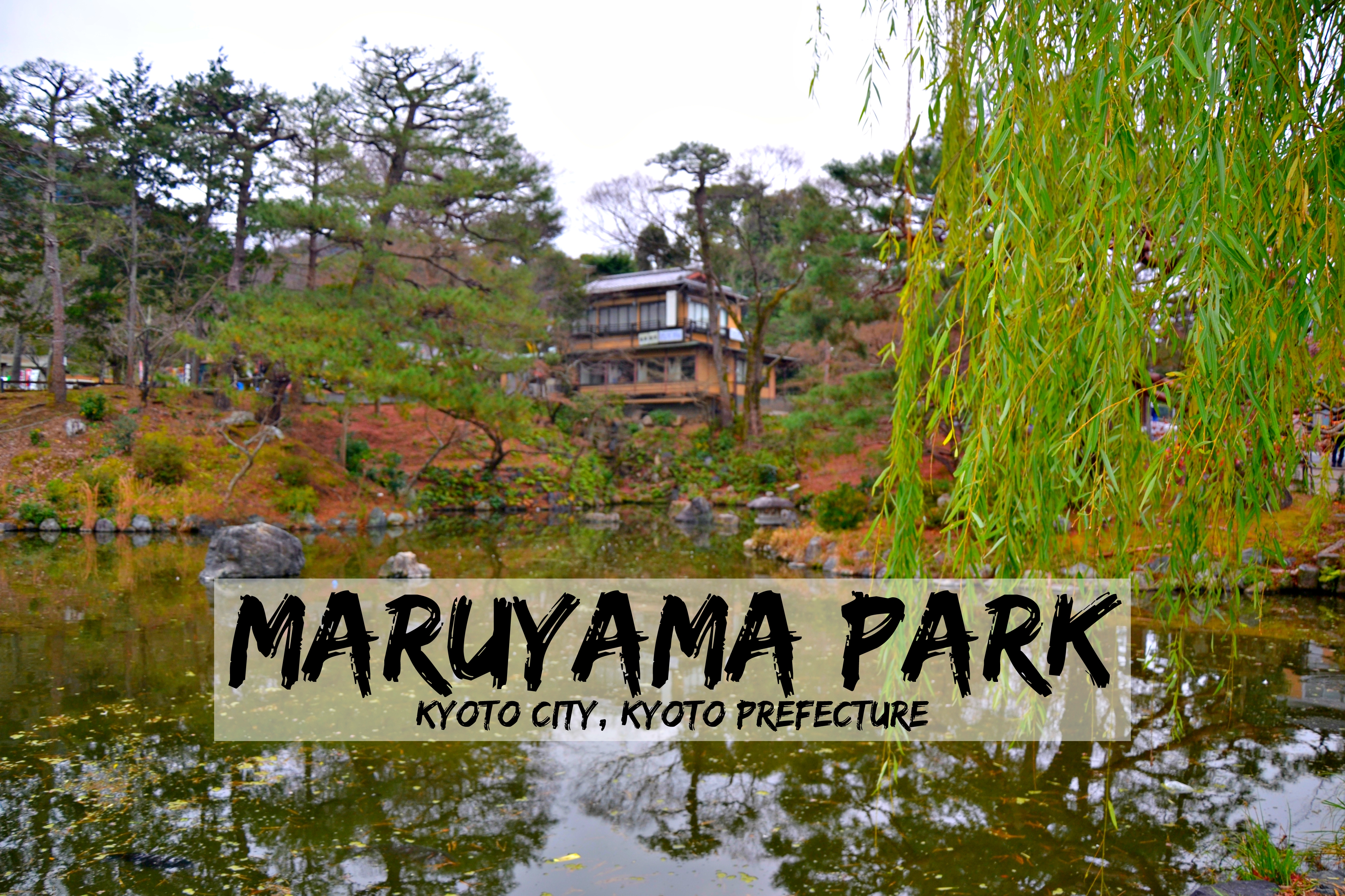 Kyoto Maruyama Park