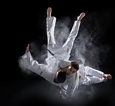 فن الجودو - Judo Art