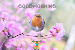 good morning wishes images