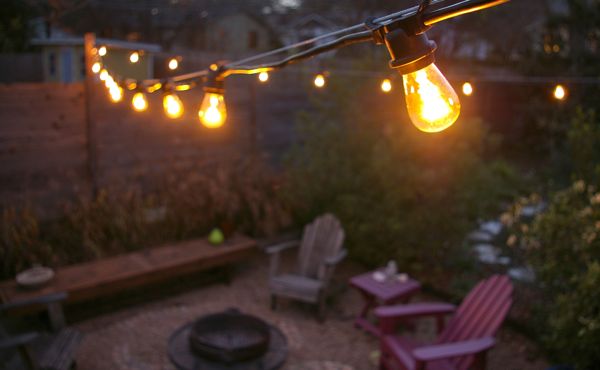 The Grackle: garden: New String Lights