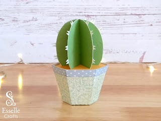 Cactus Favour Boxes by Esselle Crafts