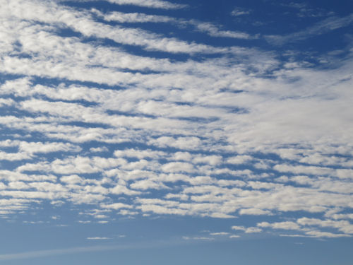 Stratocumulus undulatus clouds