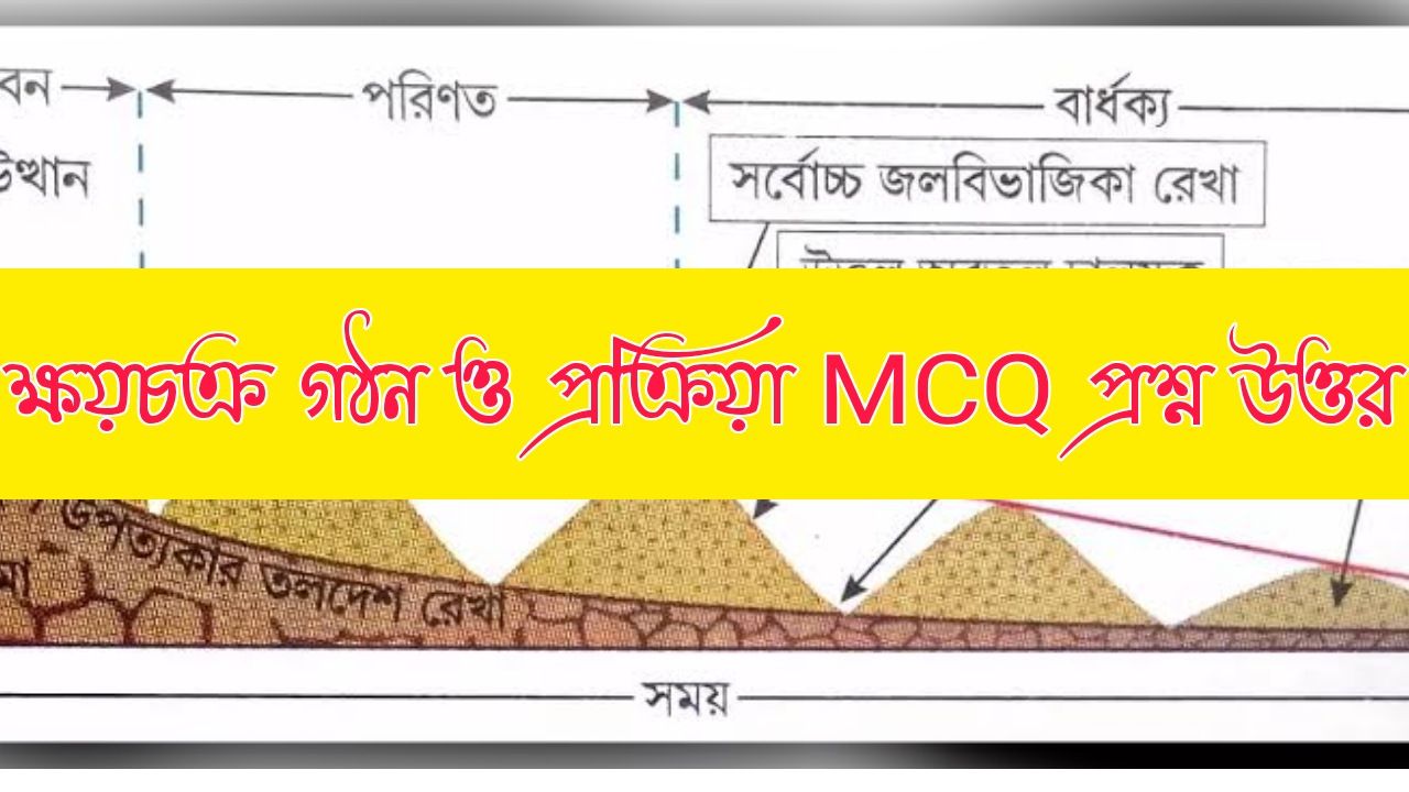 ক্ষয়চক্র গঠন ও প্রক্রিয়া MCQ প্রশ্ন উত্তর || Corrosion Cycle Structure Process MCQ Questions Answers