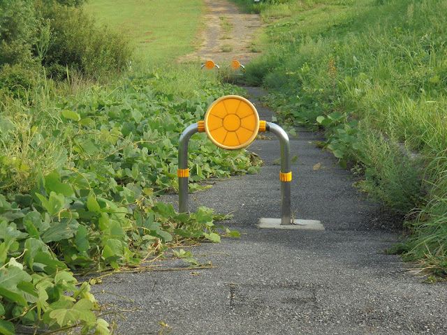 日吉津公園の入り口の標識