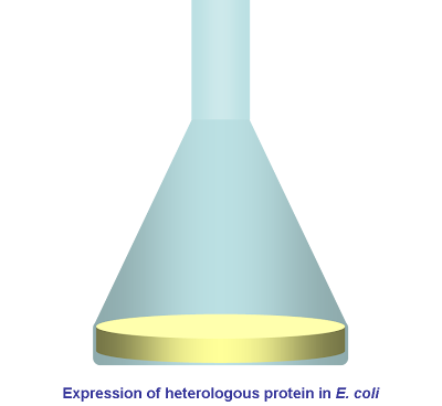 expression of recombinant